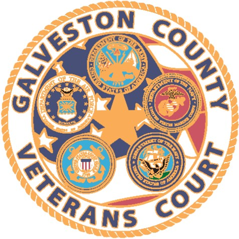 Link to Veterans Treatment Court